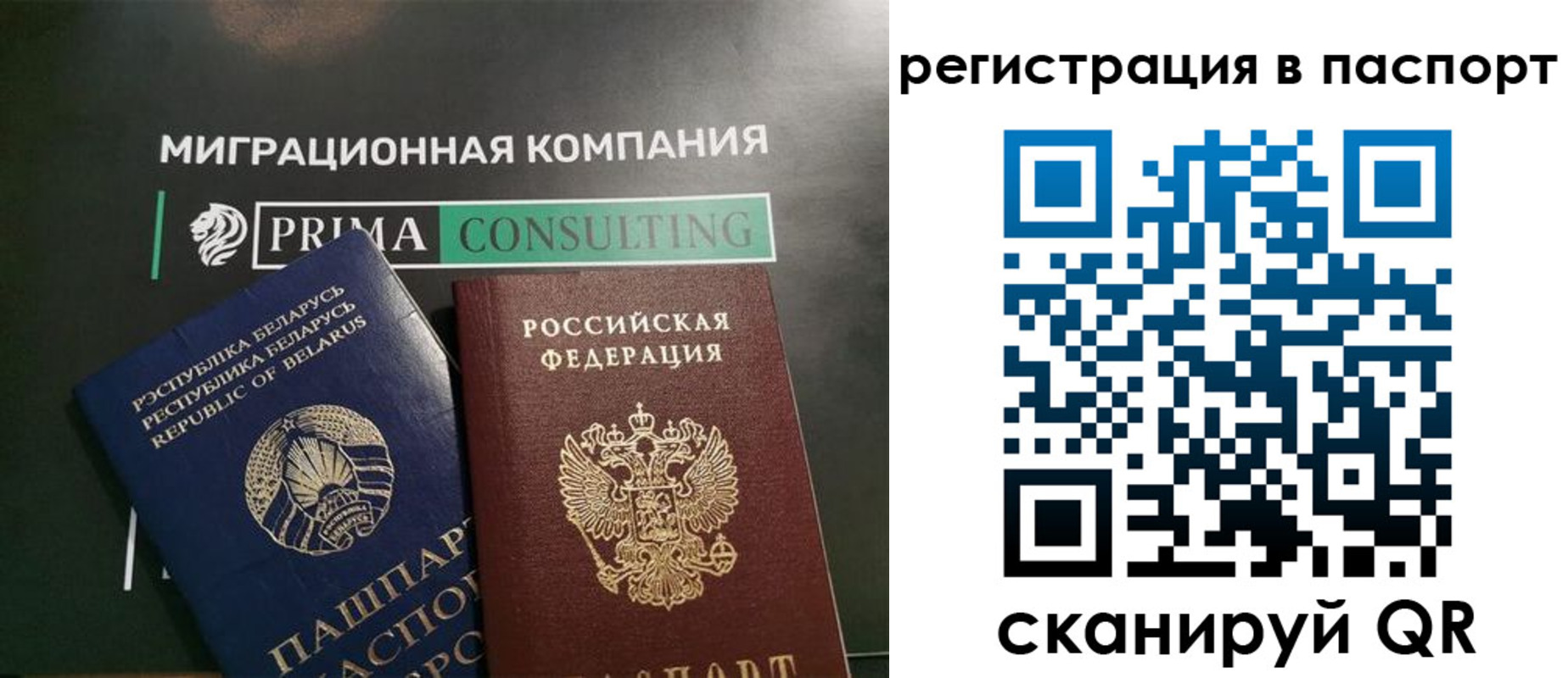 прописка для школы в Светлогорске